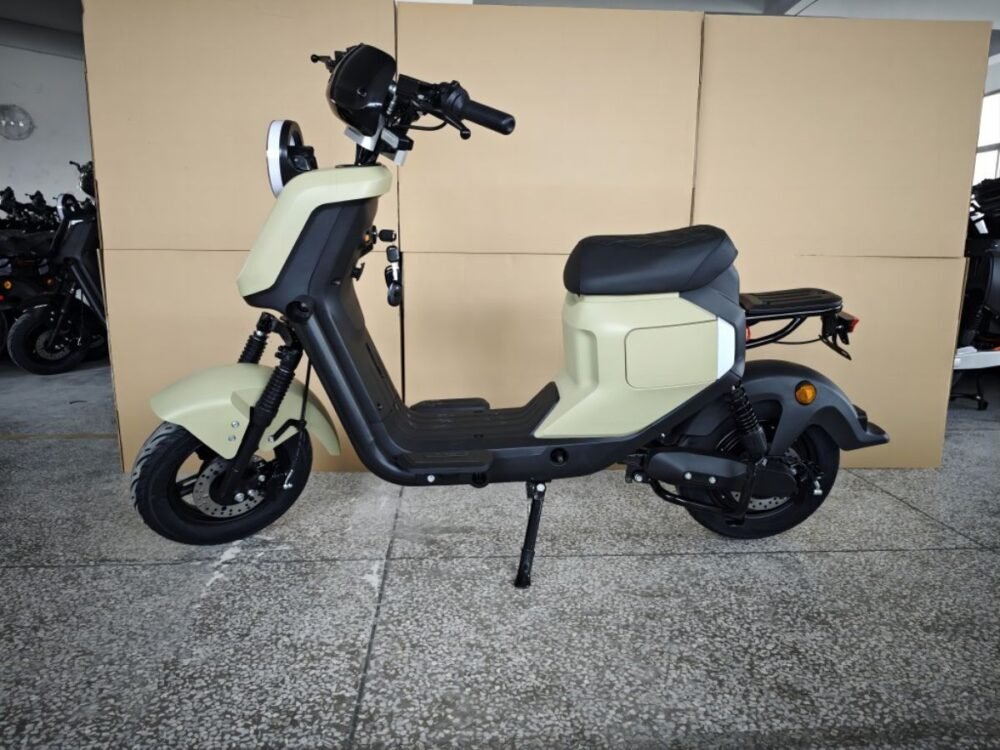 Electric motorcycle L2-1