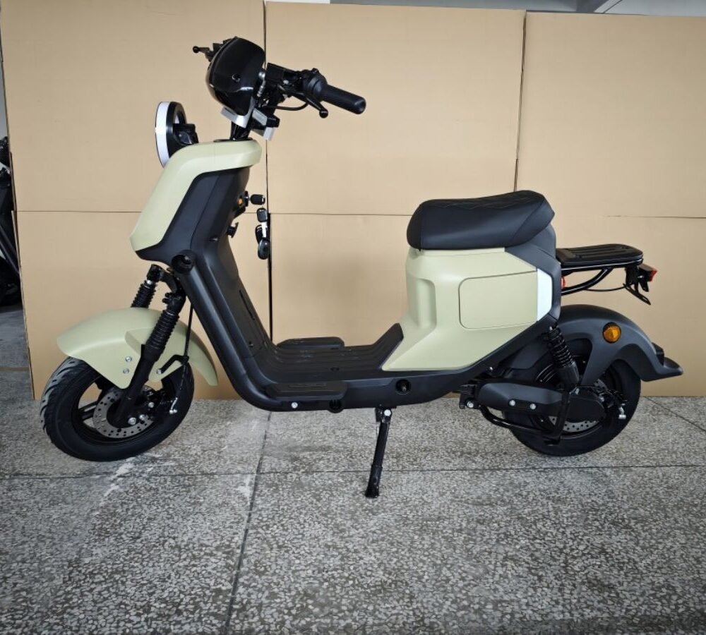 Electric motorcycle L2-1