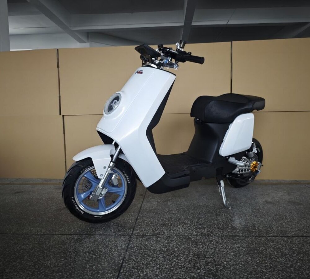 electric bike africa marketing L4