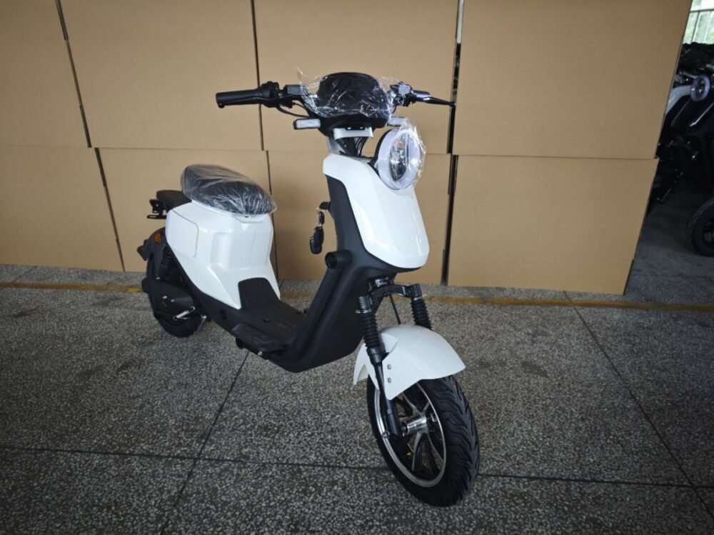 Motorcycle electric scooter L2