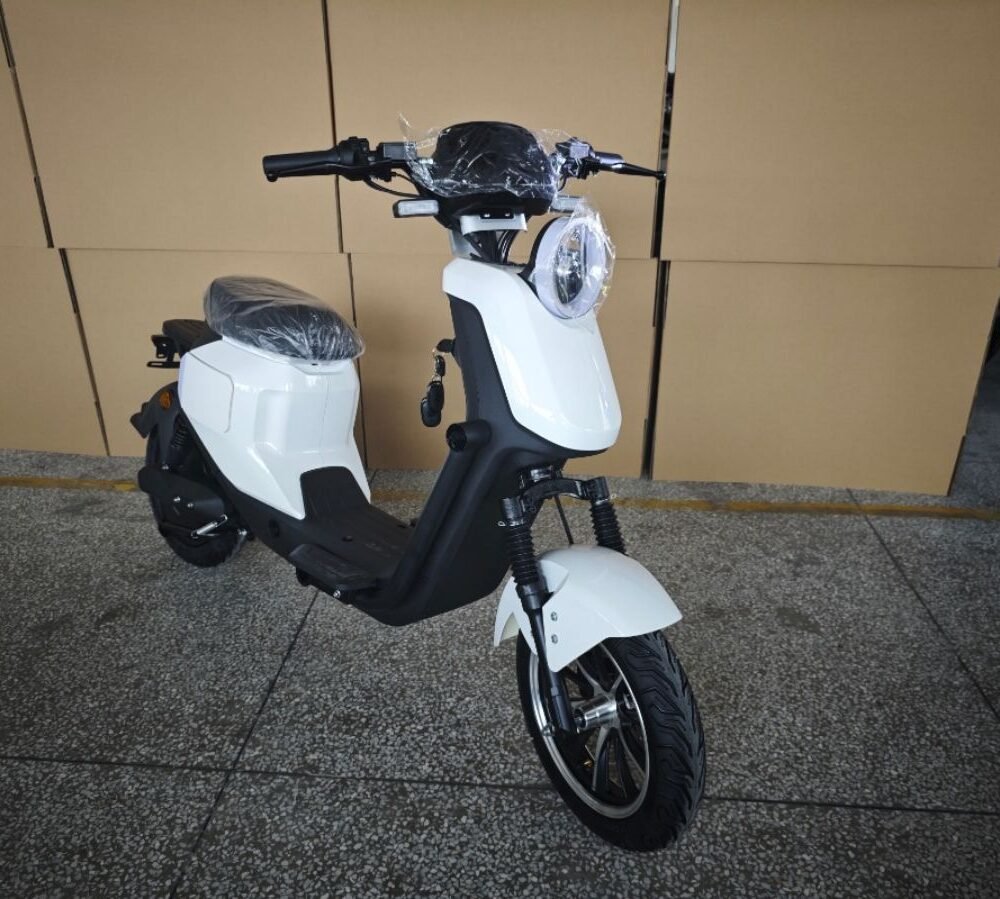 Motorcycle electric scooter L2