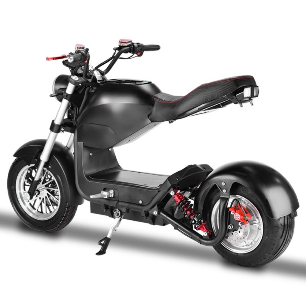 citycoco scooter liideway C1