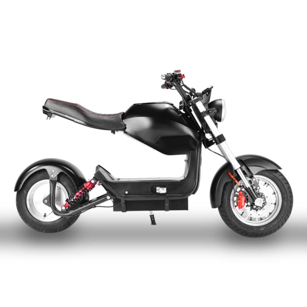 citycoco scooter liideway C1