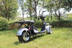 Electric two-wheeler Harley RS06