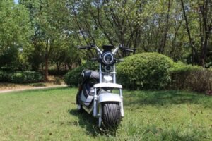 Electric two-wheeler Harley RS06