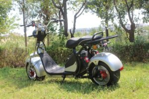 Electric two-wheeler Harley RS06