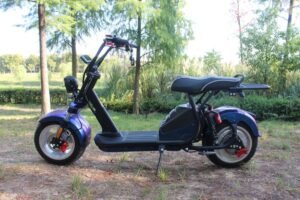 Electric two-wheeler Harley RS06