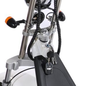 Harley electric scooter charging time RS07 (EEC)