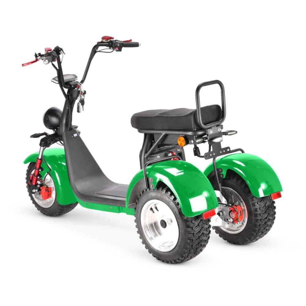 Electric chopper bike for adults liideway RS09