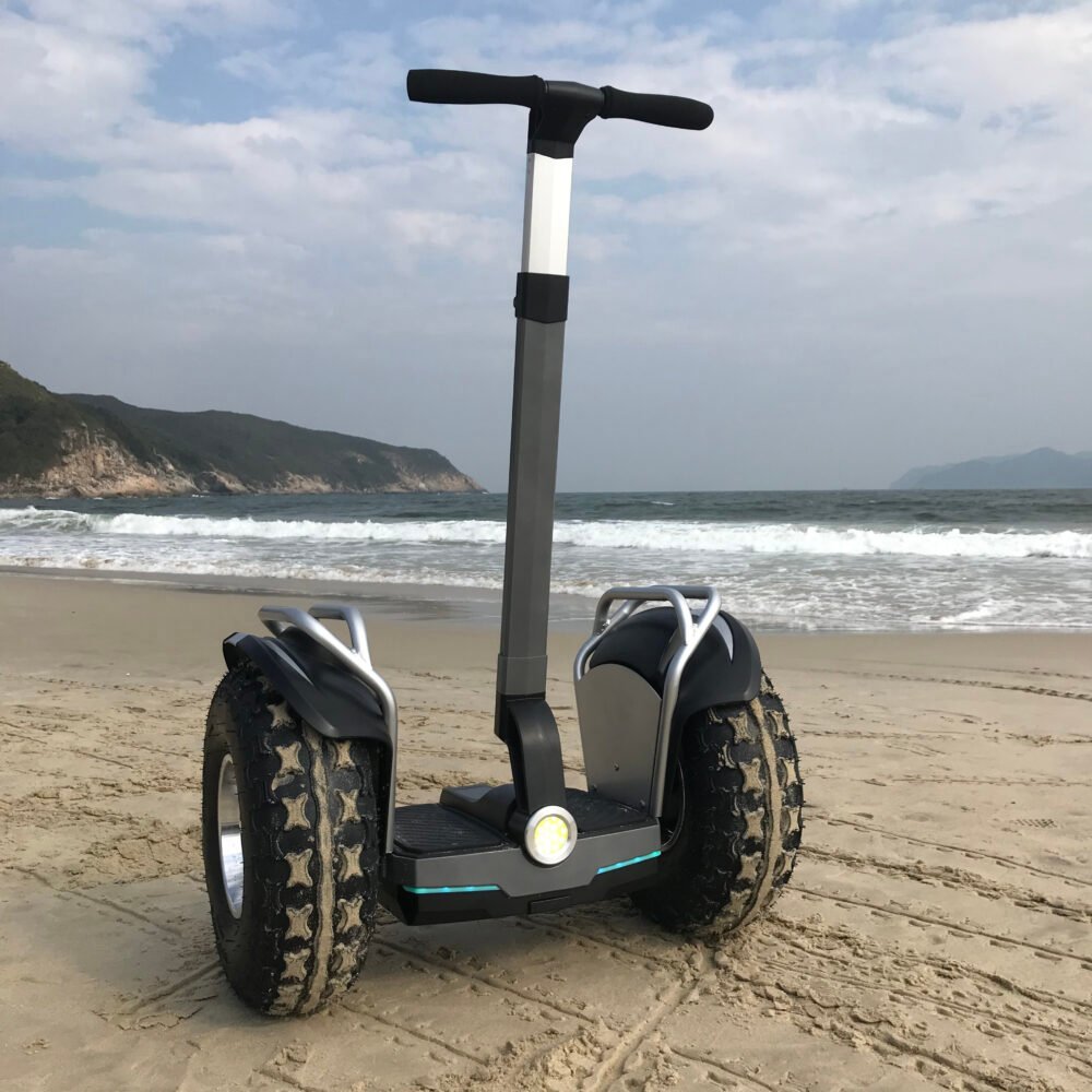 Self balancing scooter for adults with handle Ninebot fastest