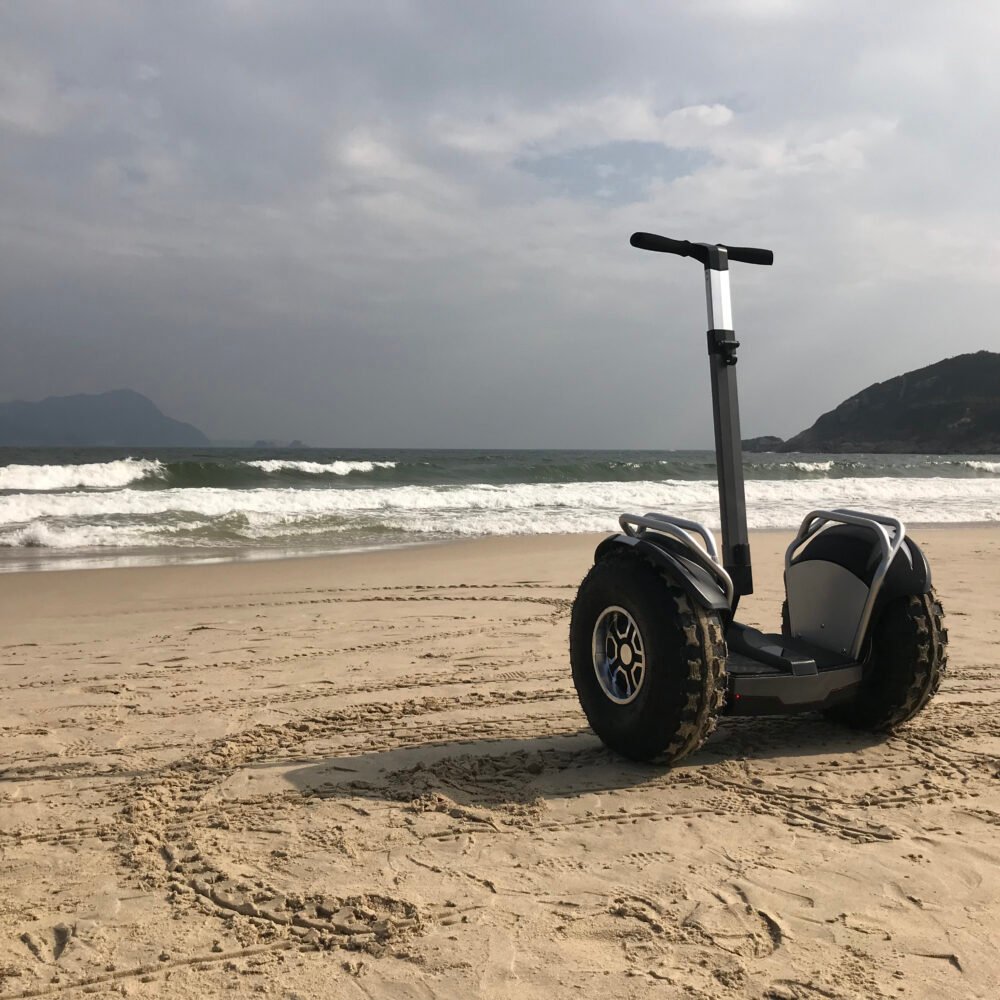 Segway Self-Balancing Scooter