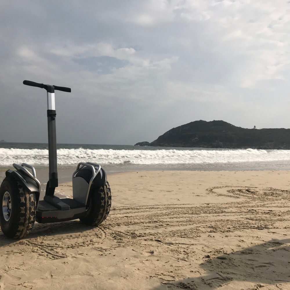 Adult Self-Balance Electric Scooters